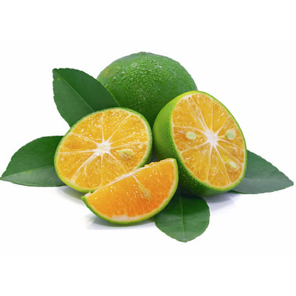 Philippine Lime (Calamansi) Plant Live Nimbu Tree Kagzi Lemon Citrus Limon Fruit Plant