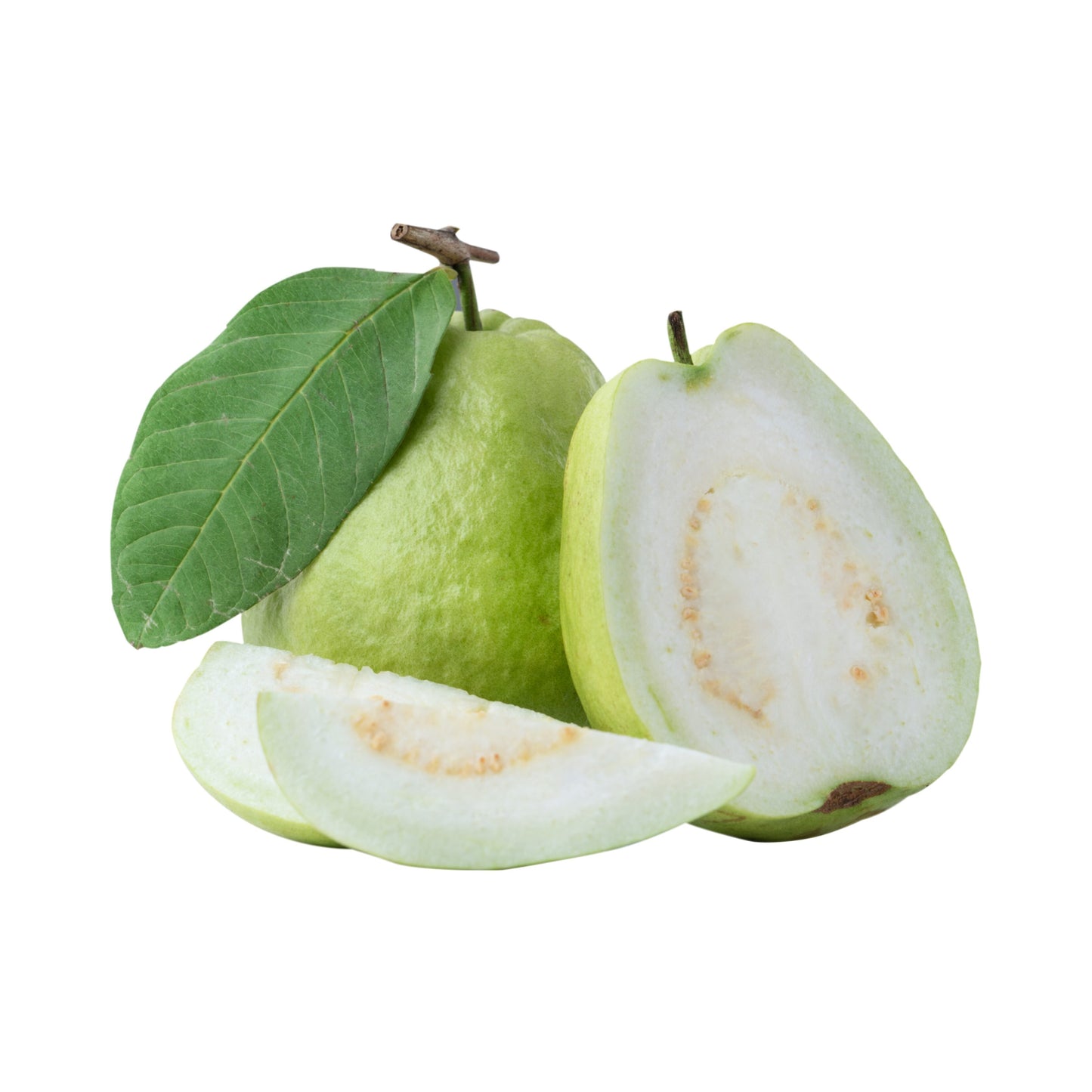 Phnom Penh White Guava Air Layered Healthy Fruit Plant