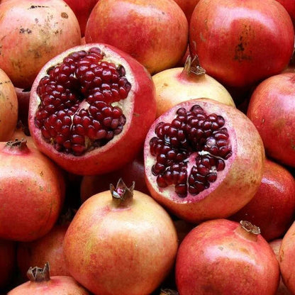 Phule Arakta Pomegranate Grafted Fruit Plant – High Yielding Sweet Juicy Anar Tree Variety