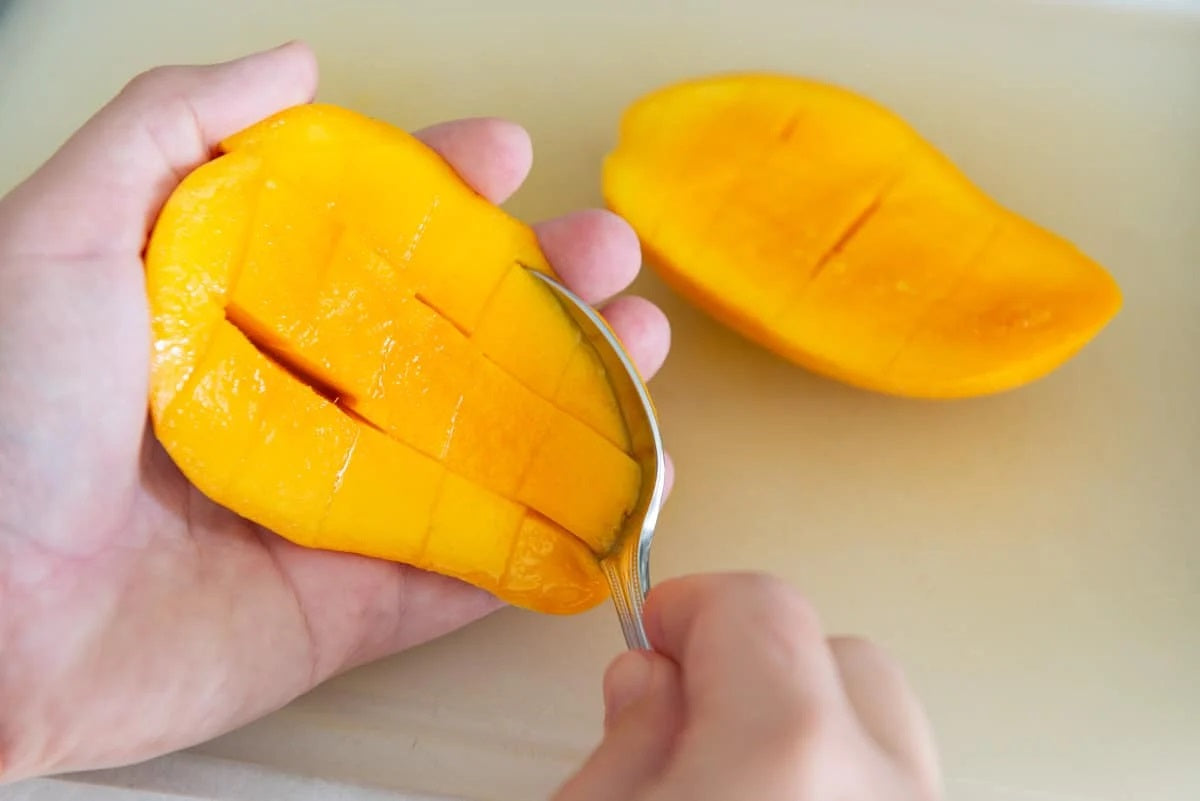 Pico Mango Aam Grafted Healthy Fruit Plant