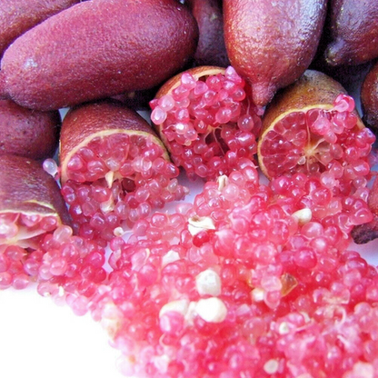Pink Ice Finger LimePlant Live Nimbu Tree Kagzi Lemon Citrus Limon Fruit Plant