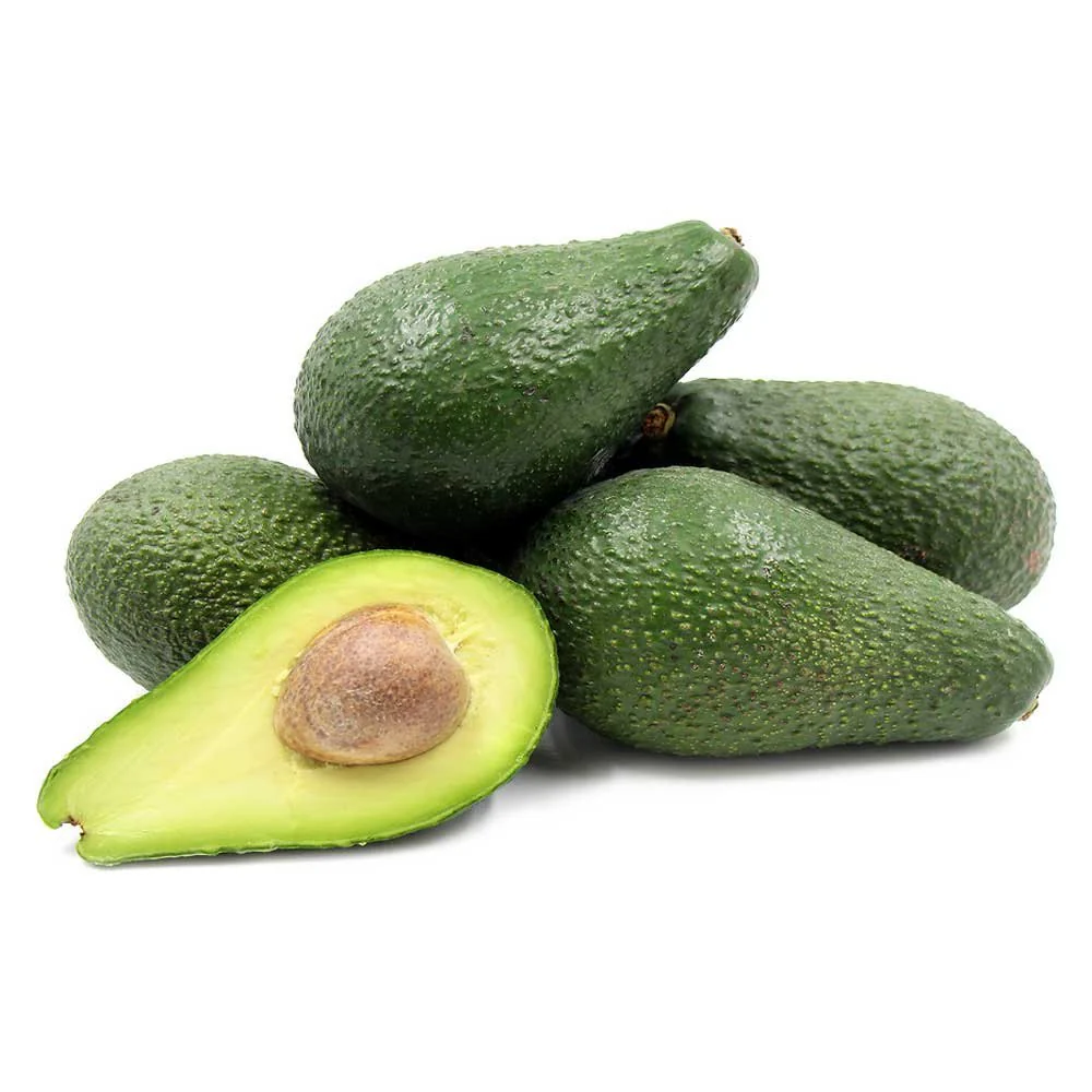 Pinkerton Avocado Grafted Healthy Fruit Plant
