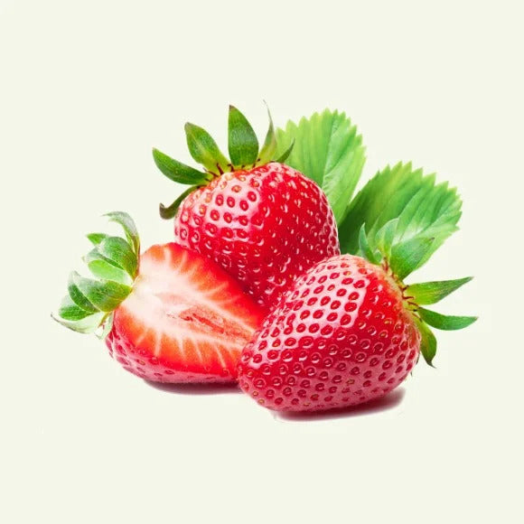 Portola Strawberry Healthy Sweet Home Garden Kitchen Garden Terrace Balcony Fruit Plant