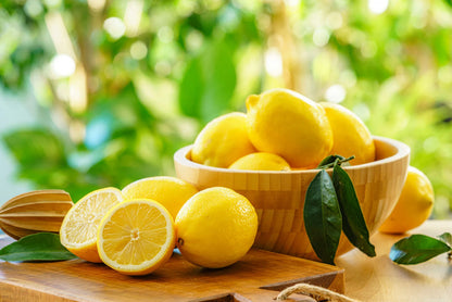 Premium Lemon Plant Live Nimbu Tree Kagzi Lemon Citrus Limon Fruit Plant