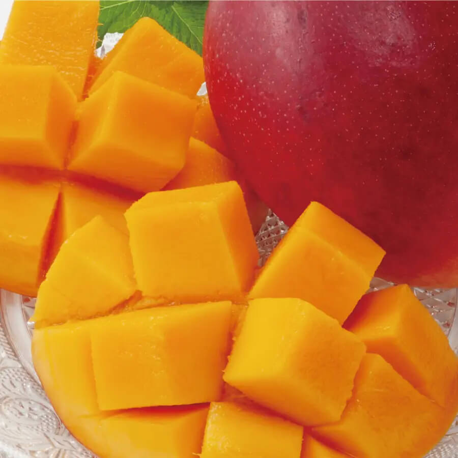 Rad Mango Aam Grafted Healthy Fruit Plant
