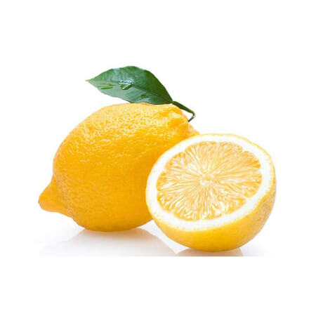 Rajasthan Galgal Lemon Plant Live Nimbu Tree Kagzi Lemon Citrus Limon Fruit Plant