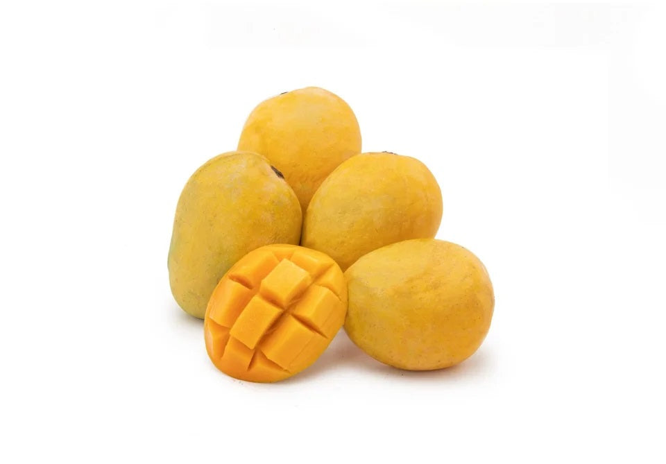 Rataul Mango Aam Grafted Healthy Fruit Plant