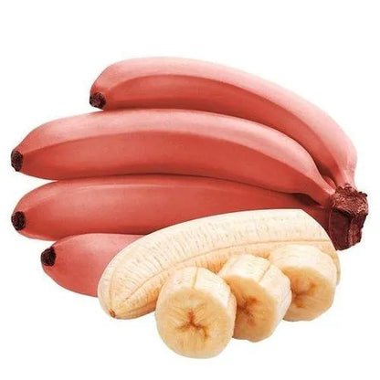 Red Banana Healthy Sweet Tissue Cultured Fruit Plant