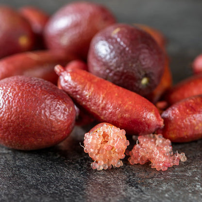 Red Champagne Finger Lime Plant Live Nimbu Tree Kagzi Lemon Citrus Limon Fruit Plant