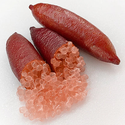 Red Champagne Finger Lime Plant Live Nimbu Tree Kagzi Lemon Citrus Limon Fruit Plant