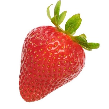 Red Gauntlet Strawberry Healthy Sweet Home Garden Kitchen Garden Terrace Balcony Fruit Plant