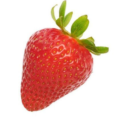 Red Gauntlet Strawberry Healthy Sweet Home Garden Kitchen Garden Terrace Balcony Fruit Plant