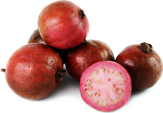 Red Indian Guava Air Layered Healthy Fruit Plant