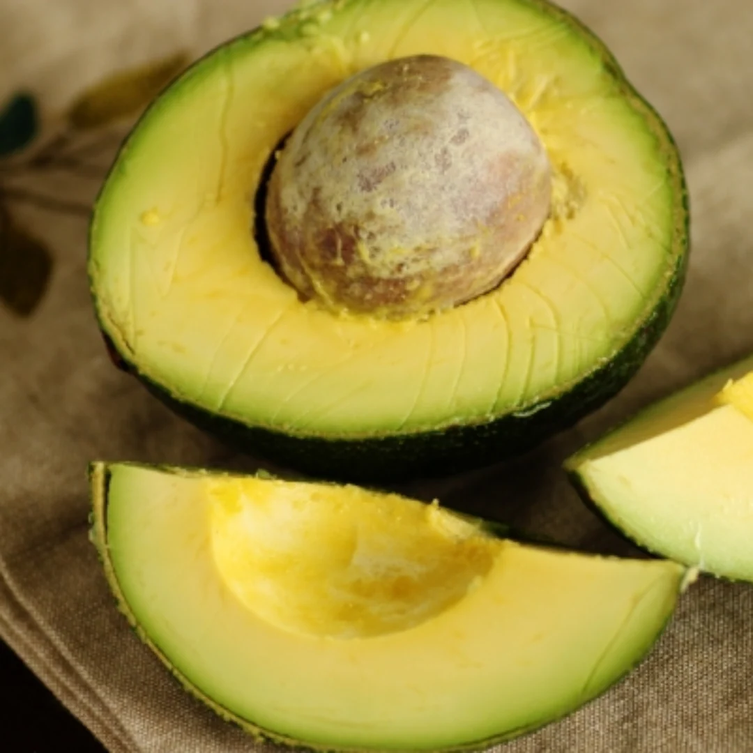 Reed Avocado Grafted Healthy Fruit Plant