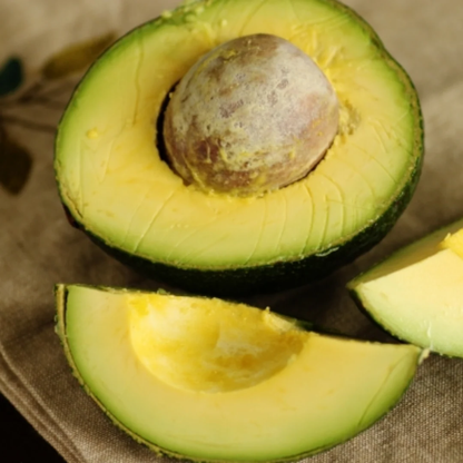 Reed Avocado Grafted Healthy Fruit Plant