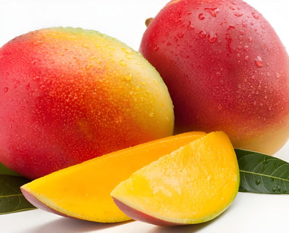 Rewa Sunderja Mango Aam Grafted Healthy Fruit Plant