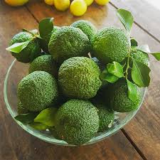 Round Lime Plant Live Nimbu Tree Kagzi Lemon Citrus Limon Fruit Plant