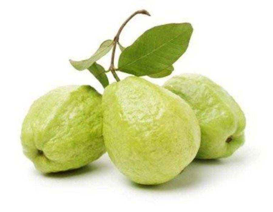 Royal Hawaiian Guava Air Layered Healthy Fruit Plant