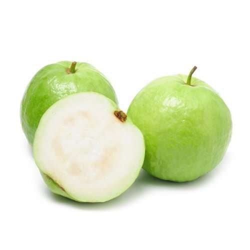 Royal Hawaiian Guava Air Layered Healthy Fruit Plant