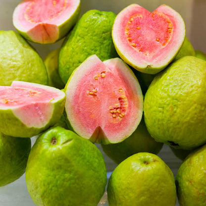 Rwanda Pink Guava Air Layered Healthy Fruit Plant