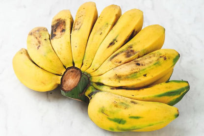 Saba Banana Healthy Sweet Tissue Cultured Fruit Plant