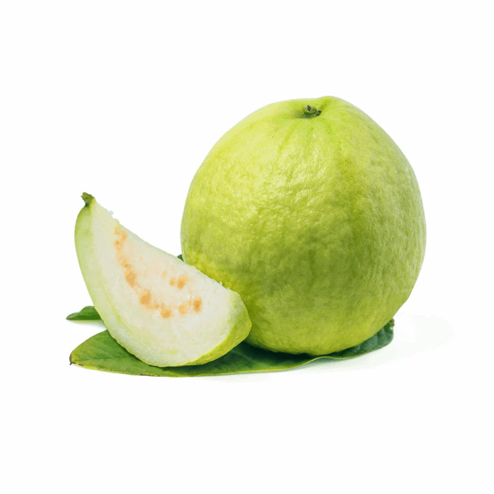 Sabarmati White Guava Air Layered Healthy Fruit Plant