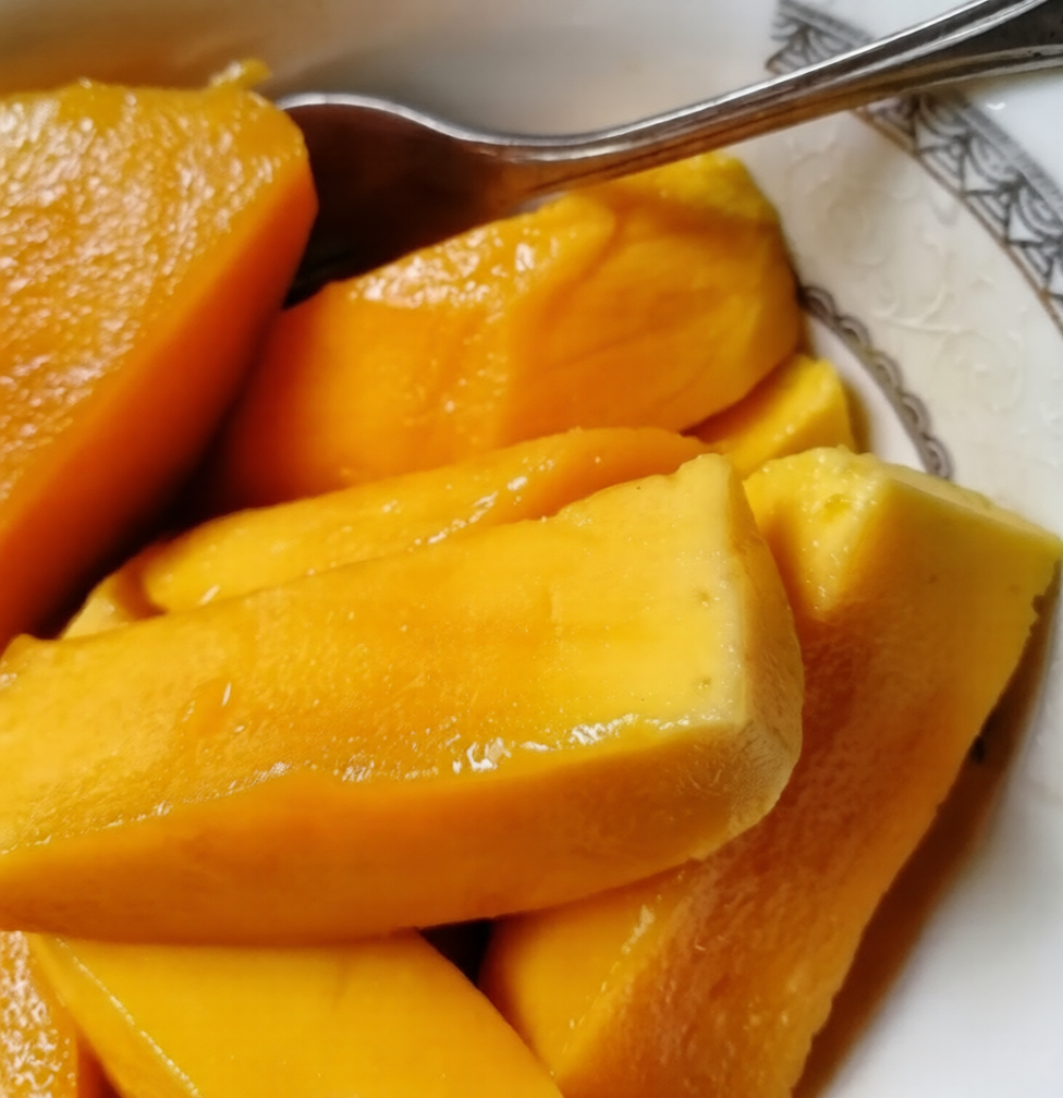 Sabre Mango Aam Grafted Healthy Fruit Plant