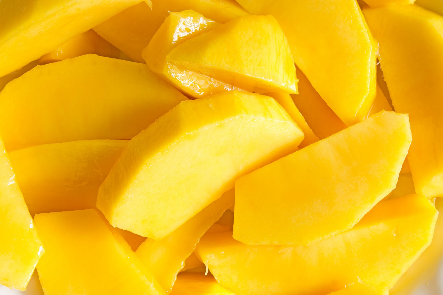 Sammar Bahisht Mango Aam Grafted Healthy Fruit Plant
