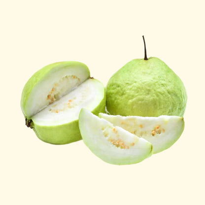 Sarawak White Guava Air Layered Healthy Fruit Plant