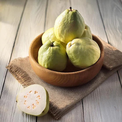 Saudi White Guava Air Layered Healthy Fruit Plant