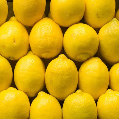 Seedless Eureka Lemon Plant Live Nimbu Tree Kagzi Lemon Citrus Limon Fruit Plant