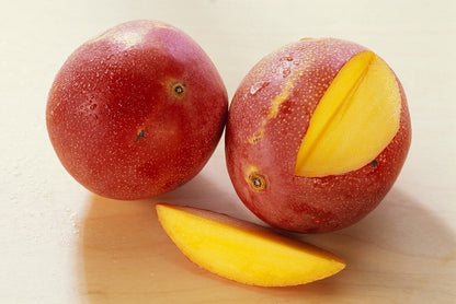 Sensation Mango Aam Grafted Healthy Fruit Plant