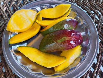 Shan-E-Khuda Mango Aam Grafted Healthy Fruit Plant