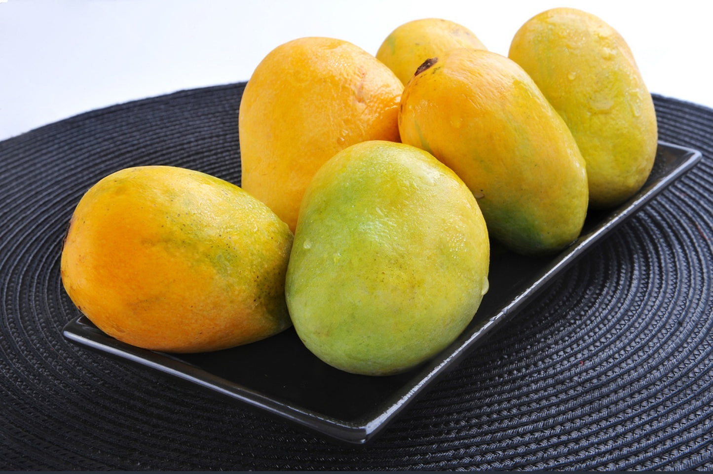 Sindhri Mango Aam Grafted Healthy Fruit Plant