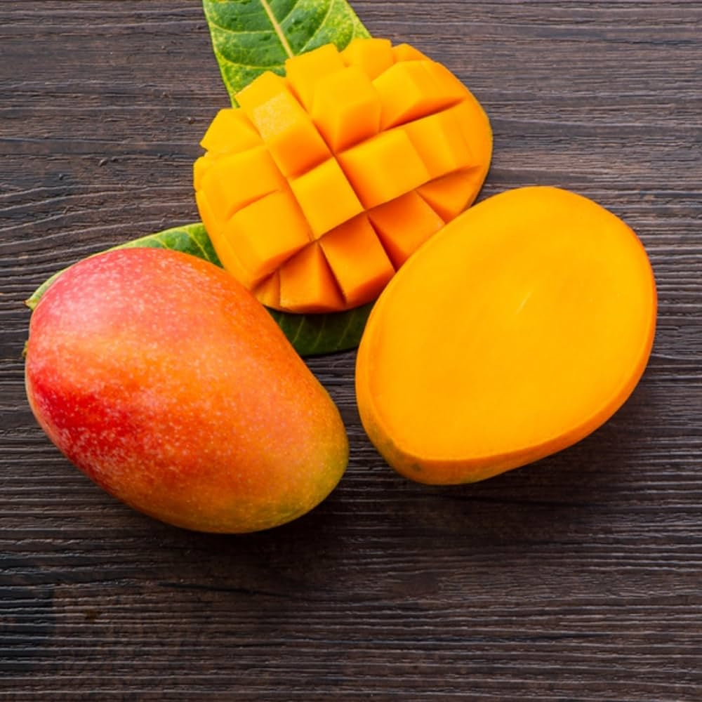 Sindoori Mango Aam Grafted Healthy Fruit Plant