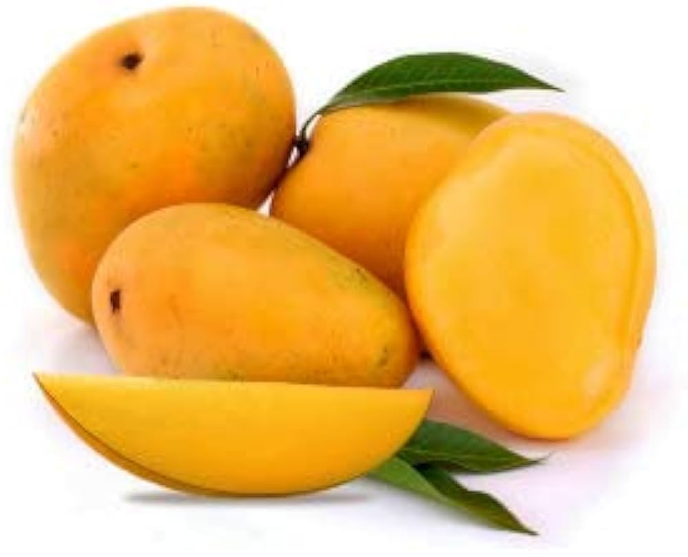 Sonpari Mango Aam Grafted Healthy Fruit Plant
