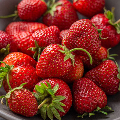 Sparkle Strawberry Healthy Sweet Home Garden Kitchen Garden Terrace Balcony Fruit Plant