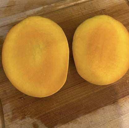 Spirit Of '76 Mango Aam Grafted Healthy Fruit Plant