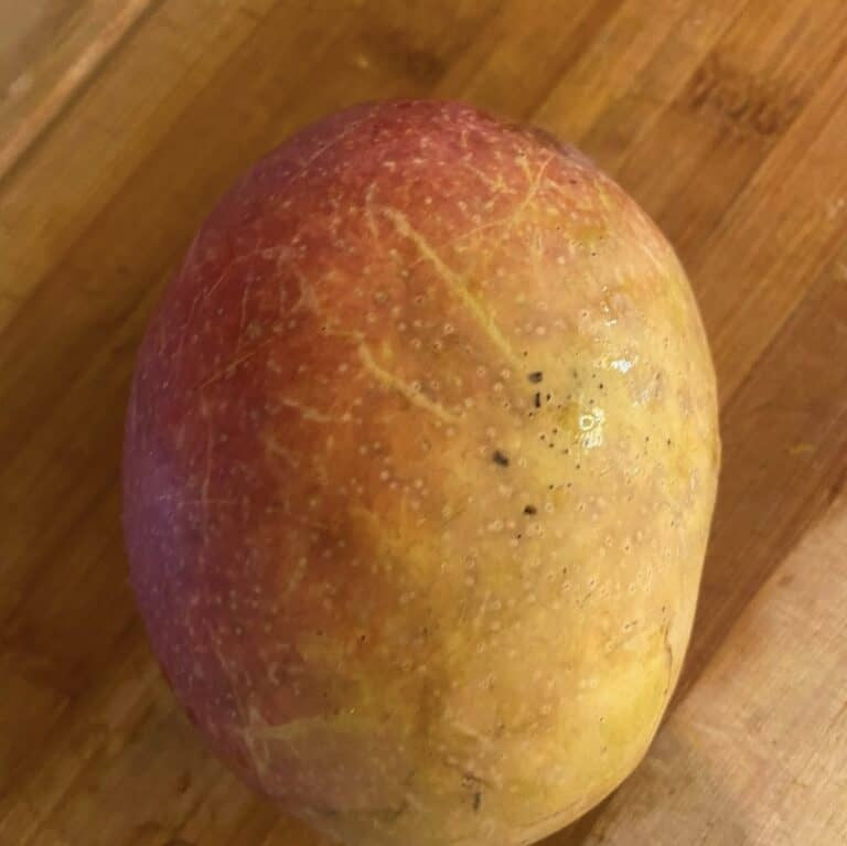 Spirit Of '76 Mango Aam Grafted Healthy Fruit Plant
