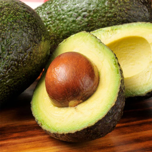 Stewart Avocado Grafted Healthy Fruit Plant