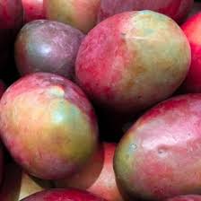 Strawberry Mango Aam Grafted Healthy Fruit Plant