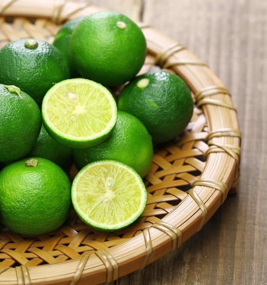 Sudachi Lemon Plant Live Nimbu Tree Kagzi Lemon Citrus Limon Fruit Plant