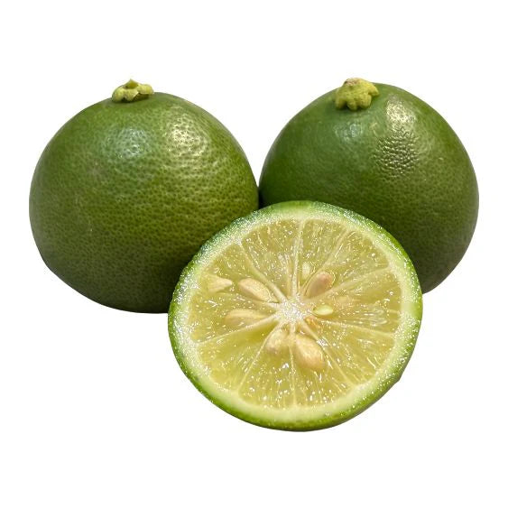Sudachi Lemon Plant Live Nimbu Tree Kagzi Lemon Citrus Limon Fruit Plant