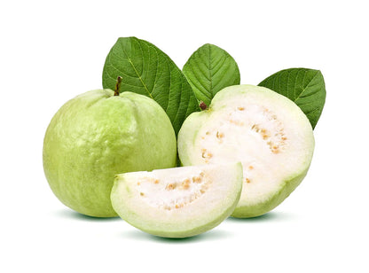 Sudan White Guava Air Layered Healthy Fruit Plant