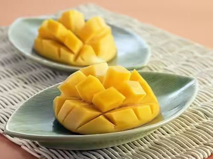 Sundrop Mango Aam Grafted Healthy Fruit Plant