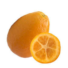 Sunrise Lime Plant Live Nimbu Tree Kagzi Lemon Citrus Limon Fruit Plant