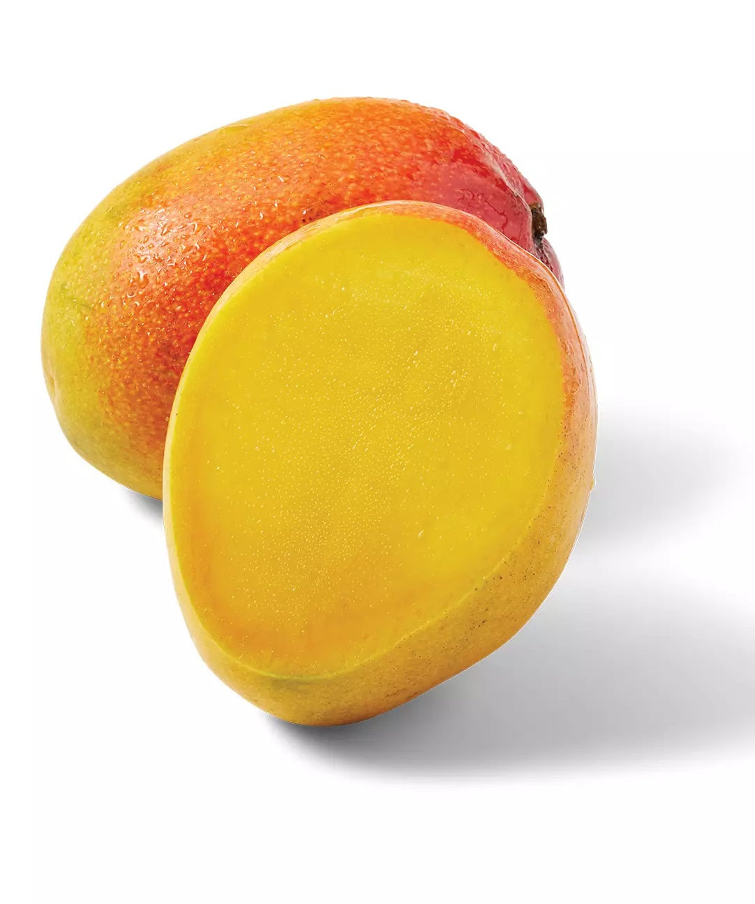 Sunset Mango Aam Grafted Healthy Fruit Plant