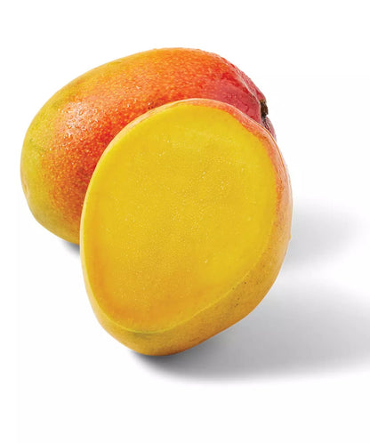 Sunset Mango Aam Grafted Healthy Fruit Plant