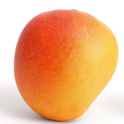Suvarnarekha Mango Aam Grafted Healthy Fruit Plant