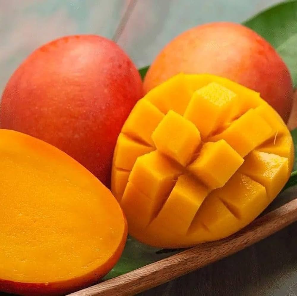 Swarnarekha Mango Aam Grafted Healthy Fruit Plant